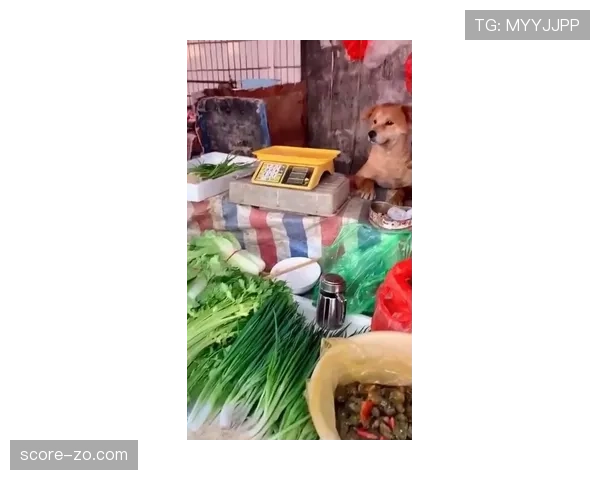 王励勤拎着塑料袋去菜市场，那块表闪得把摊主都愣住了
